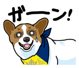 Wanko-Biyori Vol.5 Corgi sticker #11283542