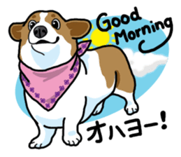 Wanko-Biyori Vol.5 Corgi sticker #11283544