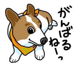 Wanko-Biyori Vol.5 Corgi sticker #11283547