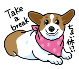 Wanko-Biyori Vol.5 Corgi sticker #11283549