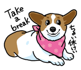 Wanko-Biyori Vol.5 Corgi sticker #11283549
