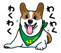 Wanko-Biyori Vol.5 Corgi sticker #11283550