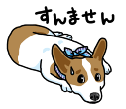 Wanko-Biyori Vol.5 Corgi sticker #11283551