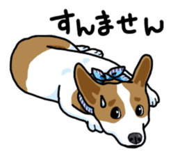 Wanko-Biyori Vol.5 Corgi sticker #11283551