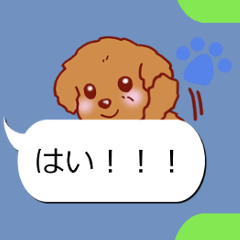 Sticker of Conversation Toypoodle