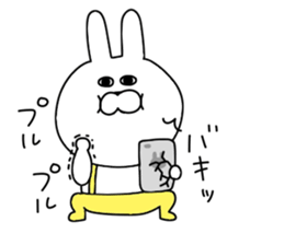 Rabbit that can be used. sticker #11287388