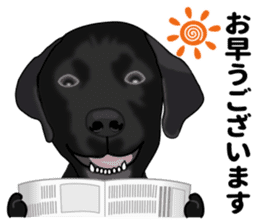 Everyday black Labrador(Honorific ed) sticker #11288032