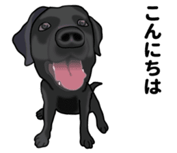 Everyday black Labrador(Honorific ed) sticker #11288033