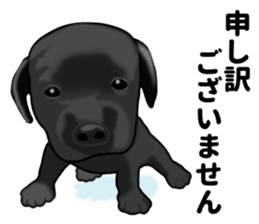 Everyday black Labrador(Honorific ed) sticker #11288037