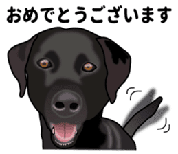 Everyday black Labrador(Honorific ed) sticker #11288039