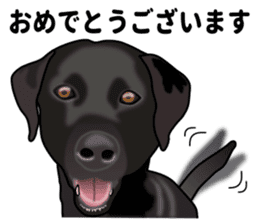 Everyday black Labrador(Honorific ed) sticker #11288039