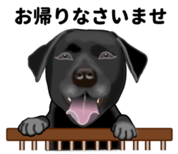 Everyday black Labrador(Honorific ed) sticker #11288040