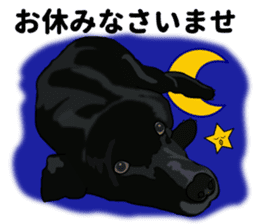 Everyday black Labrador(Honorific ed) sticker #11288042
