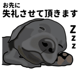 Everyday black Labrador(Honorific ed) sticker #11288045