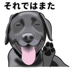 Everyday black Labrador(Honorific ed) sticker #11288047