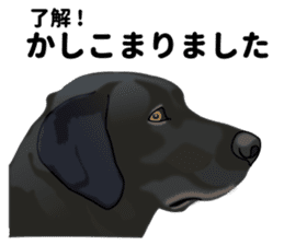 Everyday black Labrador(Honorific ed) sticker #11288049