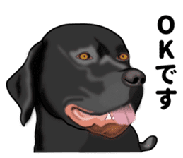 Everyday black Labrador(Honorific ed) sticker #11288050