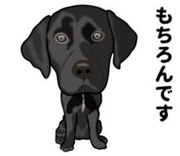 Everyday black Labrador(Honorific ed) sticker #11288052