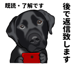 Everyday black Labrador(Honorific ed) sticker #11288053