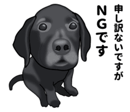 Everyday black Labrador(Honorific ed) sticker #11288054