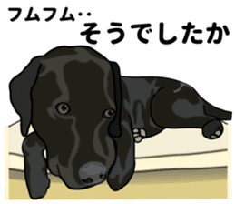 Everyday black Labrador(Honorific ed) sticker #11288055
