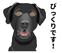 Everyday black Labrador(Honorific ed) sticker #11288059
