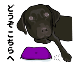 Everyday black Labrador(Honorific ed) sticker #11288064