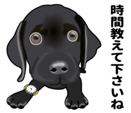 Everyday black Labrador(Honorific ed) sticker #11288065