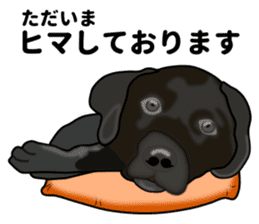 Everyday black Labrador(Honorific ed) sticker #11288068