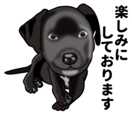 Everyday black Labrador(Honorific ed) sticker #11288069