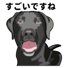 Everyday black Labrador(Honorific ed) sticker #11288070