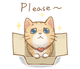 Cat's LifeStyle (English Ver.) sticker #11289684