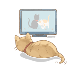 Cat's LifeStyle (English Ver.) sticker #11289688
