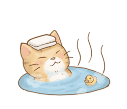 Cat's LifeStyle (English Ver.) sticker #11289689