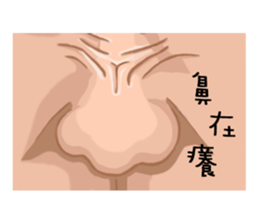Exquisite nose sticker #11289835