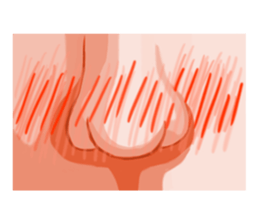 Exquisite nose sticker #11289838