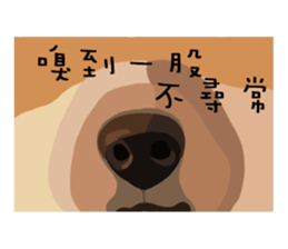 Exquisite nose sticker #11289844