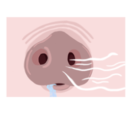 Exquisite nose sticker #11289845