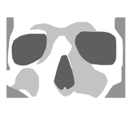 Exquisite nose sticker #11289859