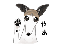 whippet ramu 1 sticker #11290872