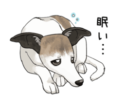 whippet ramu 1 sticker #11290875