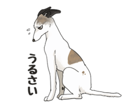 whippet ramu 1 sticker #11290877