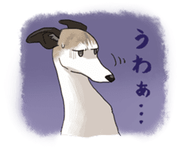 whippet ramu 1 sticker #11290879