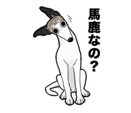 whippet ramu 1 sticker #11290880