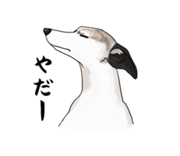 whippet ramu 1 sticker #11290881