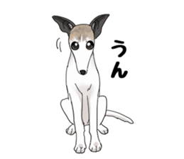 whippet ramu 1 sticker #11290882