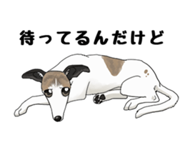 whippet ramu 1 sticker #11290884