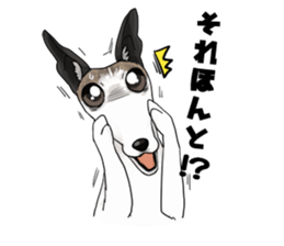 whippet ramu 1 sticker #11290887