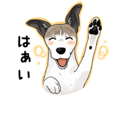 whippet ramu 1 sticker #11290889