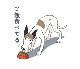 whippet ramu 1 sticker #11290892